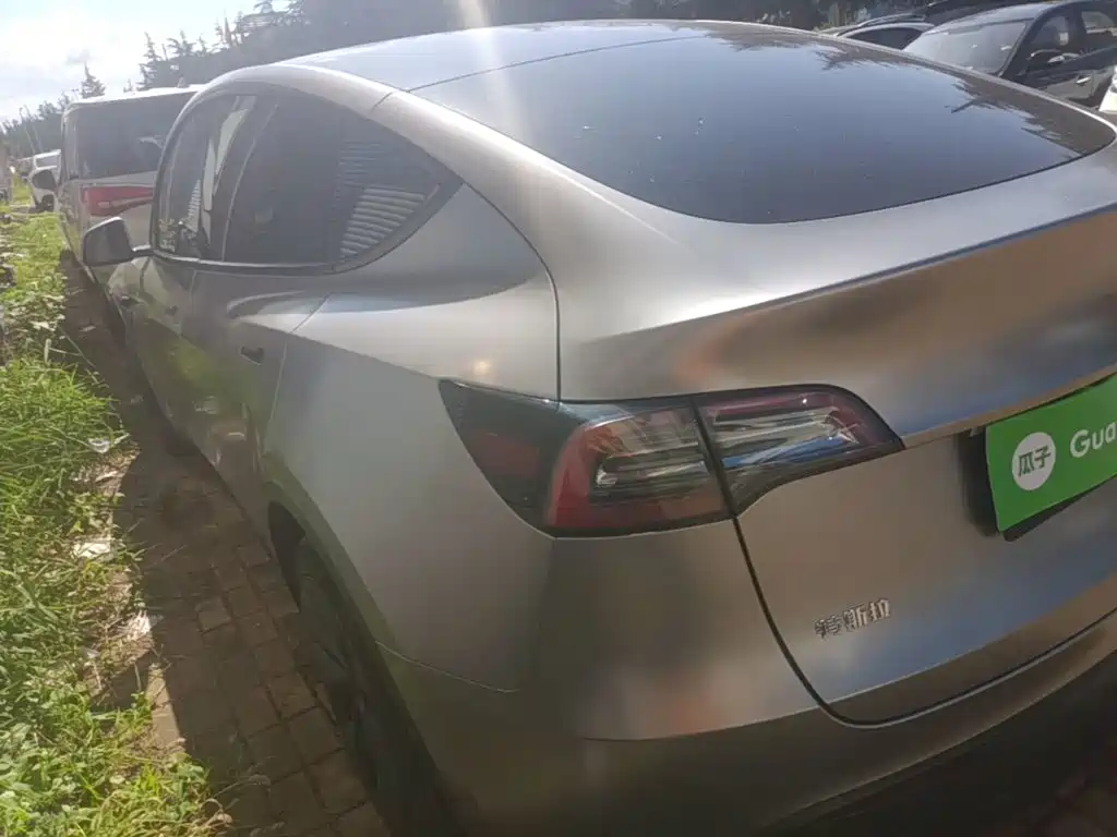 Tesla Model Y — миниатюра 5