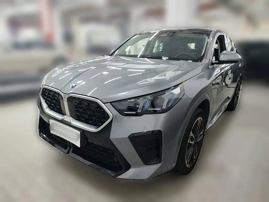 BMW X2 (Import) — миниатюра 3