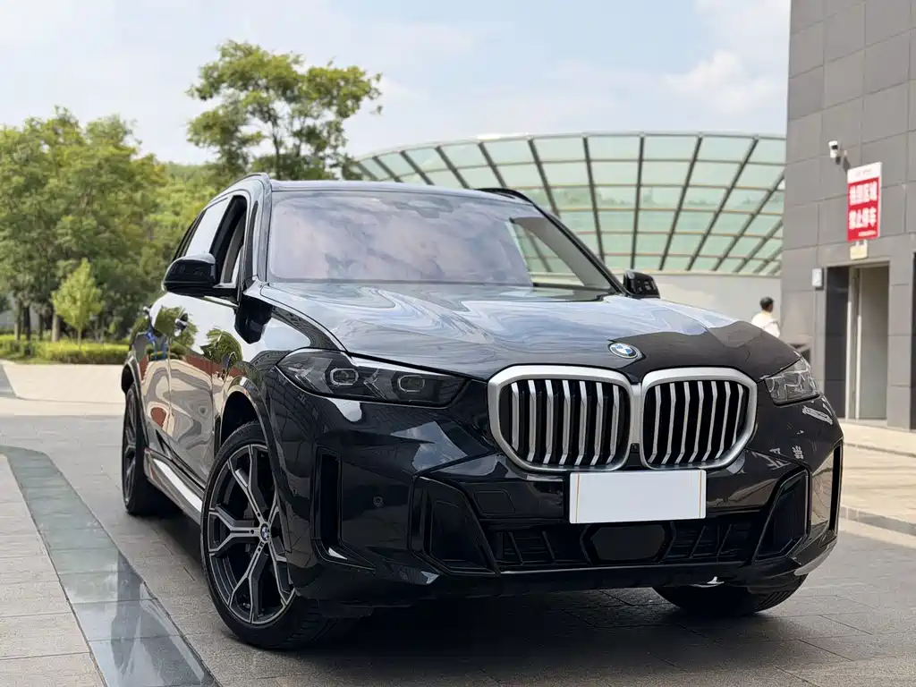 BMW X5 — миниатюра 3