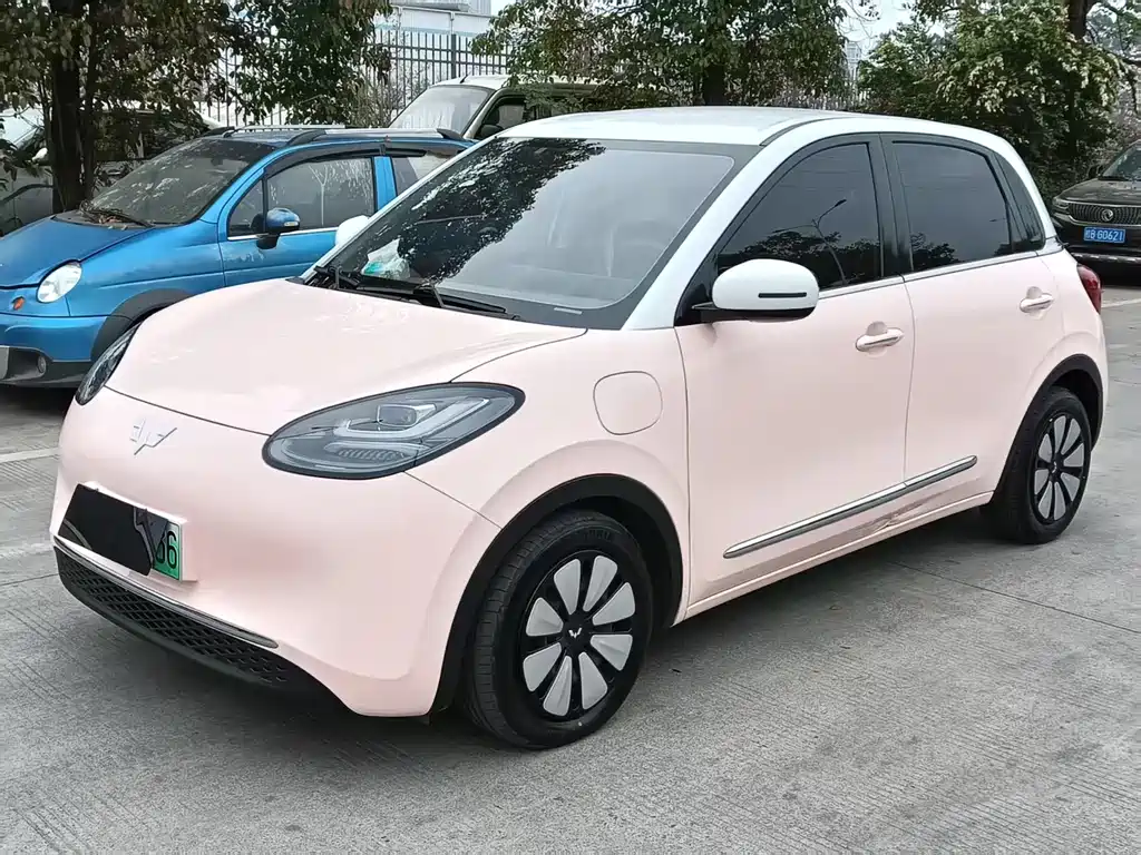 Wuling Bingo 2024