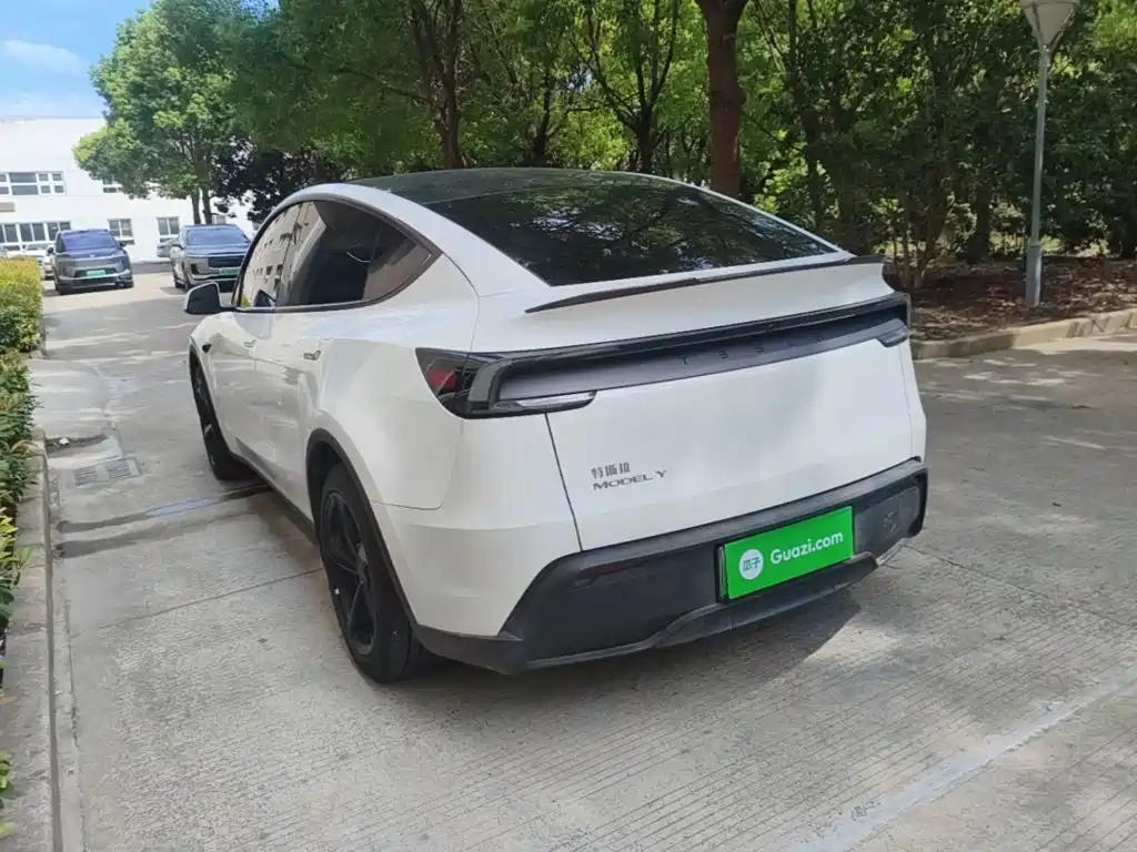 Tesla Model Y — миниатюра 5