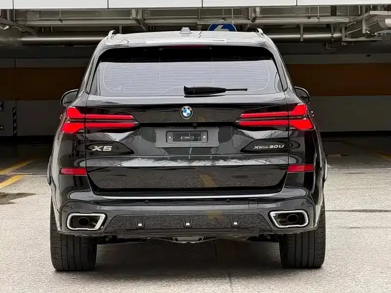 BMW X5 — миниатюра 5