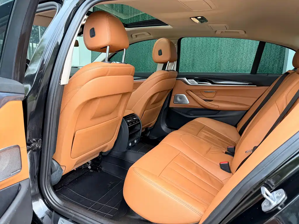 BMW 5 Series 5 2018 528Li
