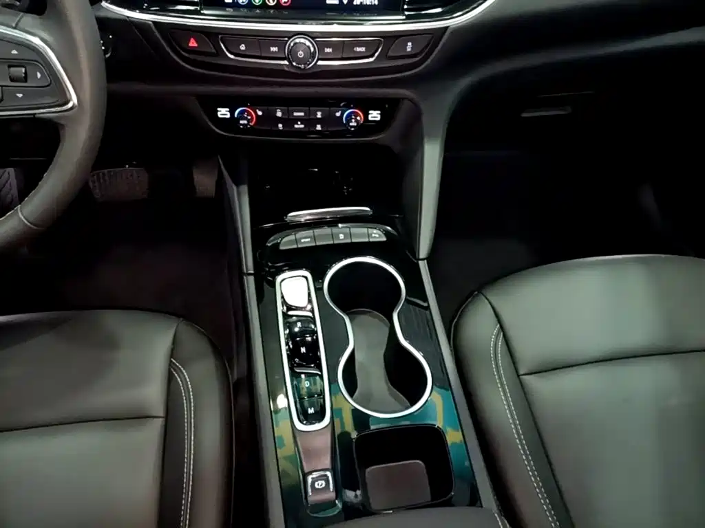 Buick Regal — миниатюра 14