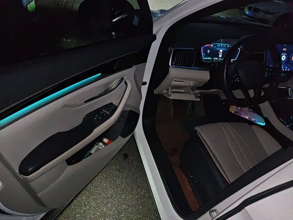 BYD PLUS New Energy — миниатюра 12