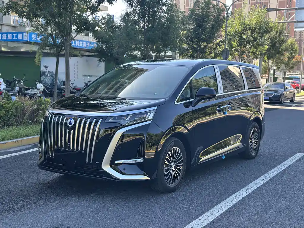 Denza Denza D9