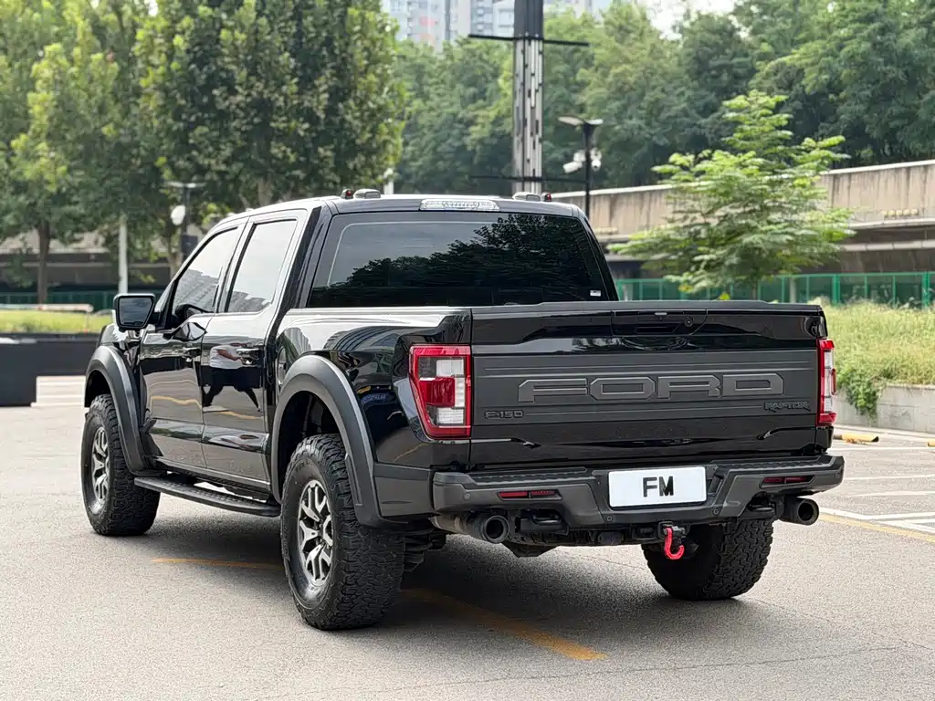 Ford F-150 Raptor — миниатюра 19