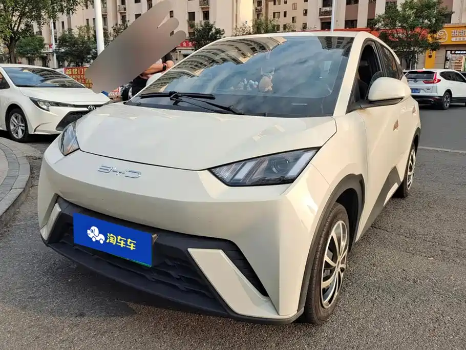 BYD Seagull