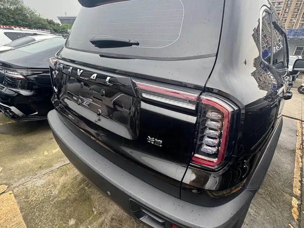 Haval Big Dog — миниатюра 15