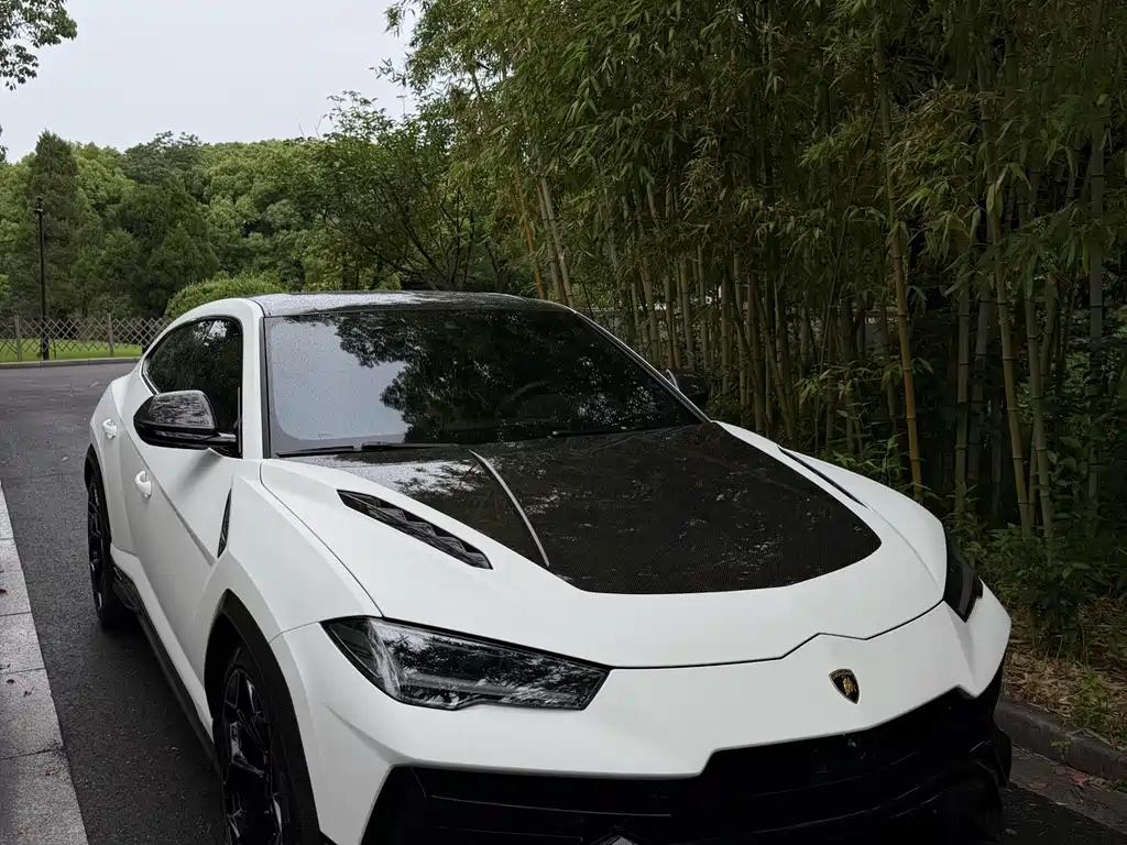 Lamborghini Urus — миниатюра 3