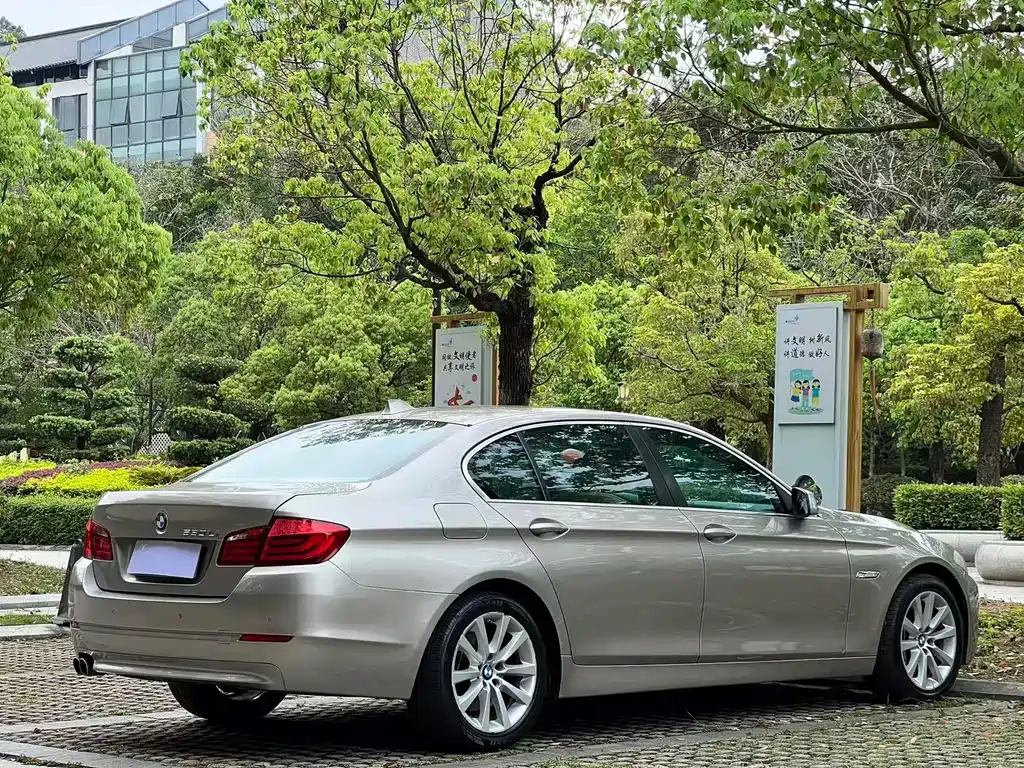 BMW 5 Series 530Li Leading Type, фото 12