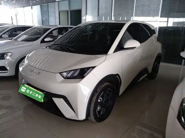 2024 BYD Seagull