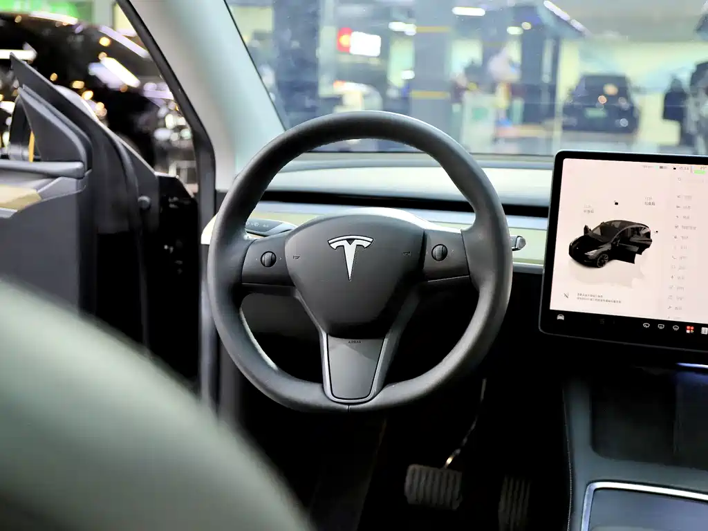 Tesla Model Y — миниатюра 10