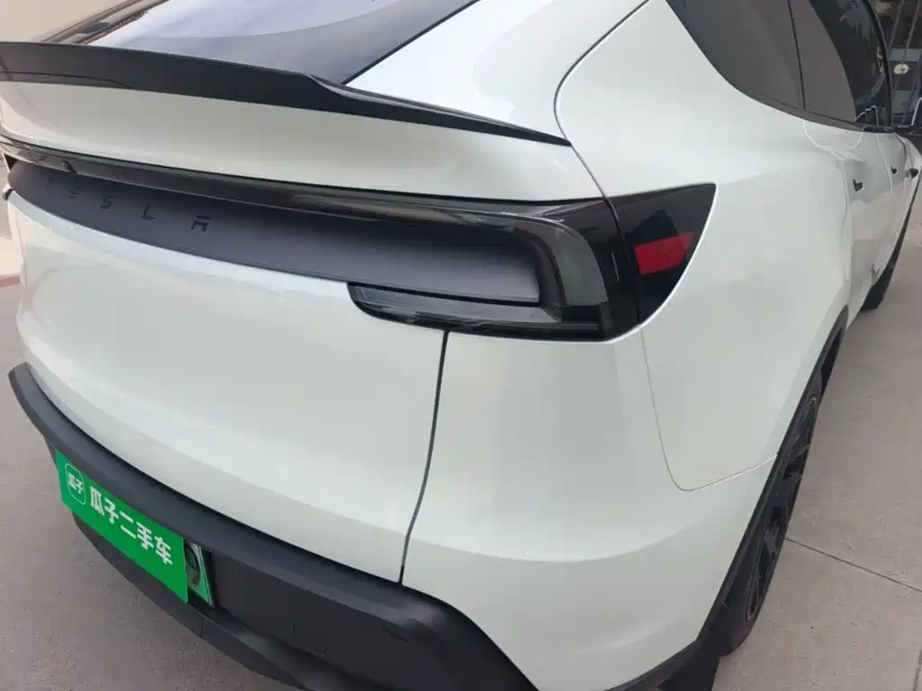 Tesla Model Y L — миниатюра 8
