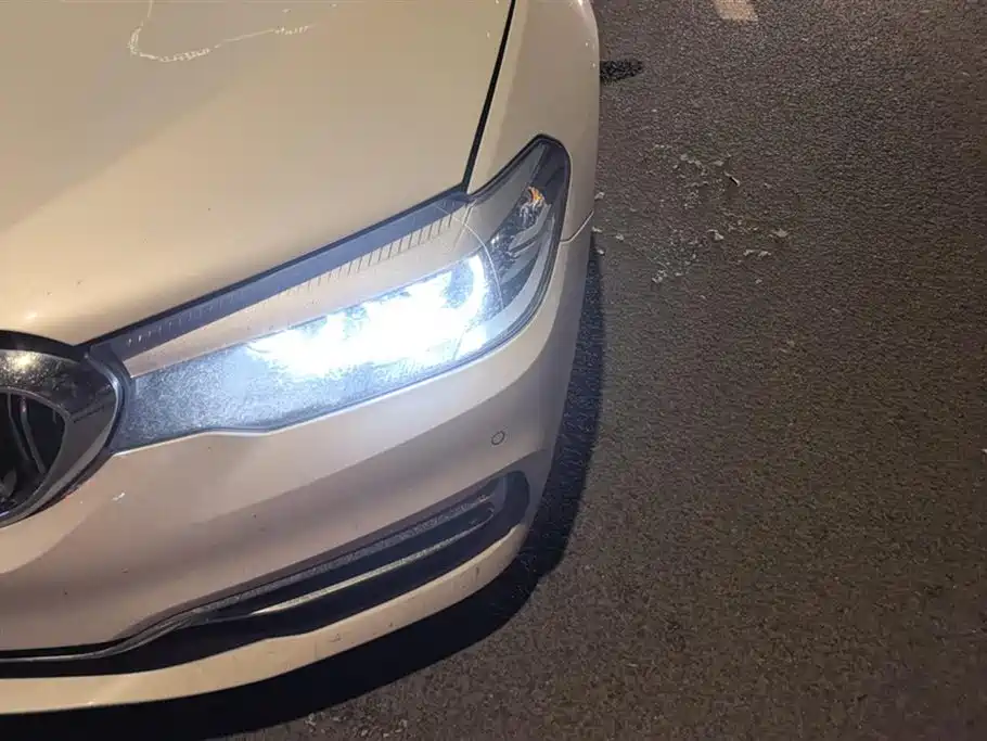 BMW 5 Series 5 2019 525Li Luxury