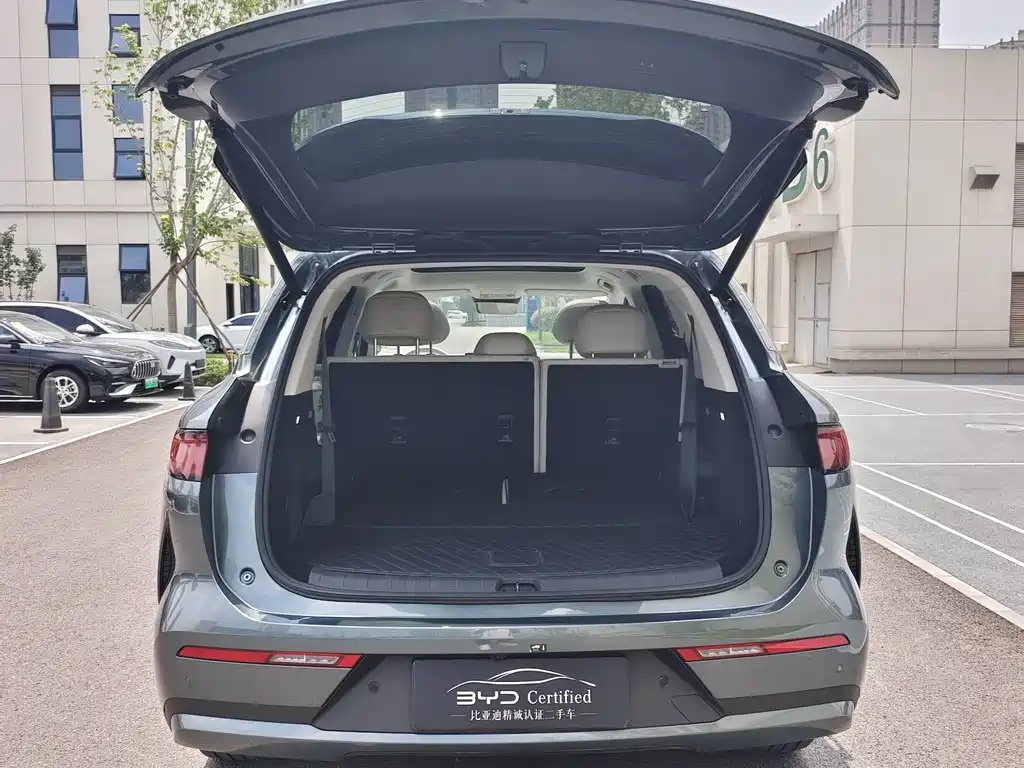 BYD Дон Л. — миниатюра 11