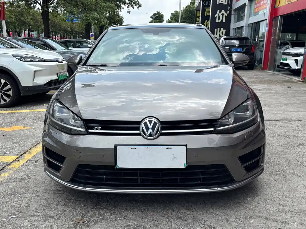 Volkswagen Golf (Import) — миниатюра 2