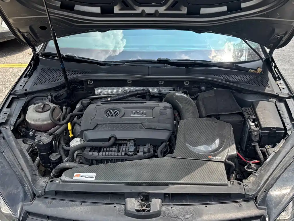 Volkswagen Golf (Import) — миниатюра 18