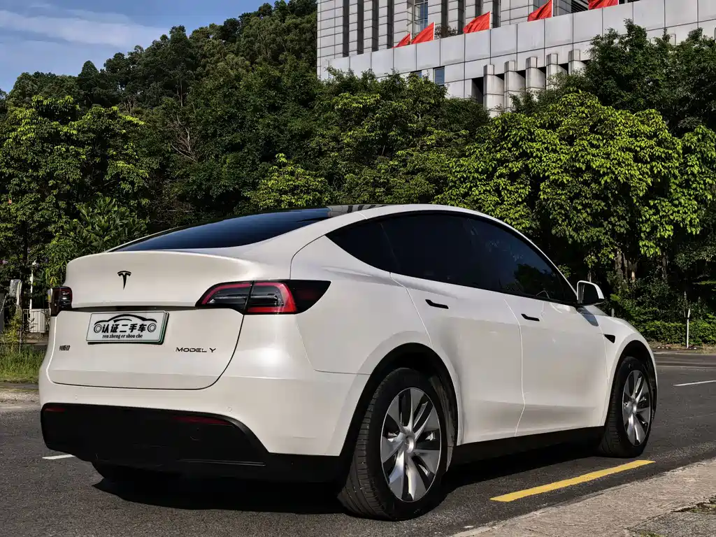 Tesla Model Y — миниатюра 11