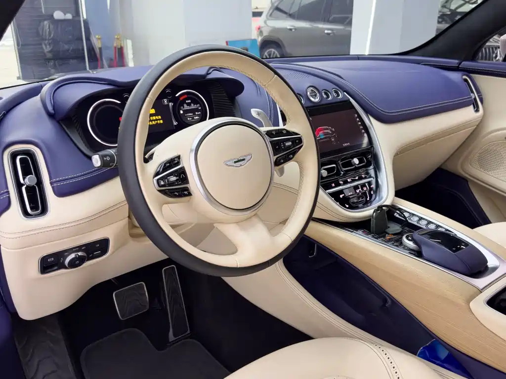 Aston Martin DBX — миниатюра 16