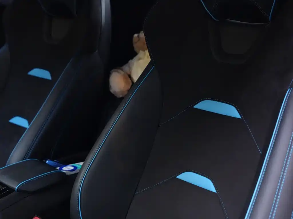 Lamborghini Huracán — миниатюра 14