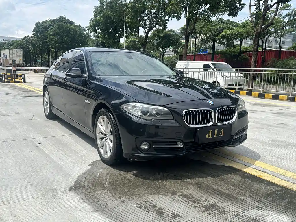 BMW 5 Series — миниатюра 3