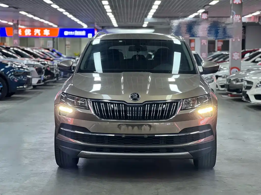 Skoda Karoq — миниатюра 2