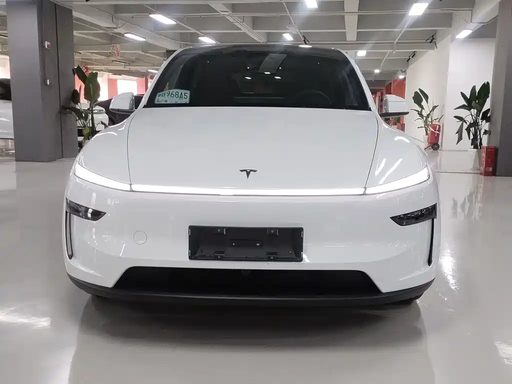 Tesla Model Y L — миниатюра 2
