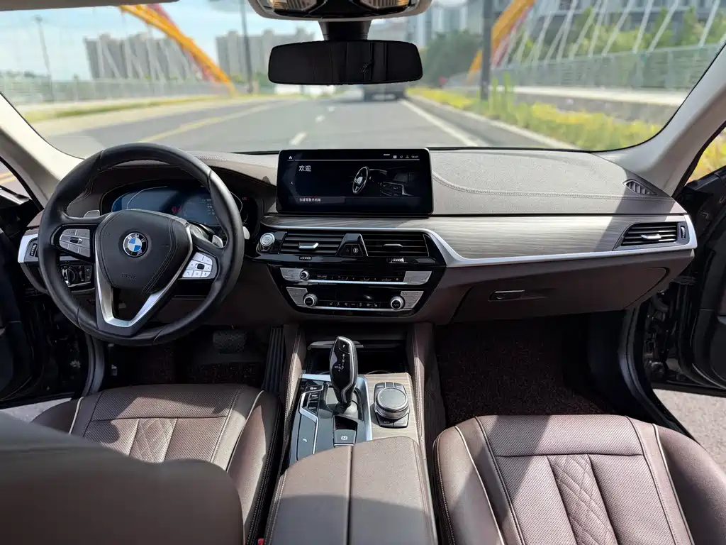 BMW 5 Series 5 2021 530Li Lead Luxury