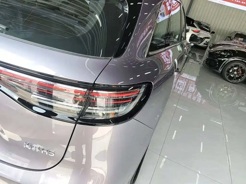 Shangjie Shangjie H5 — миниатюра 8