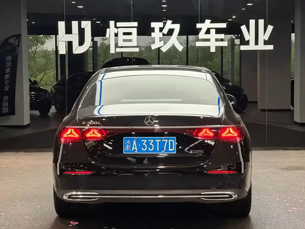 Mercedes-Benz E-Class E 2025 E 300 L Luxury