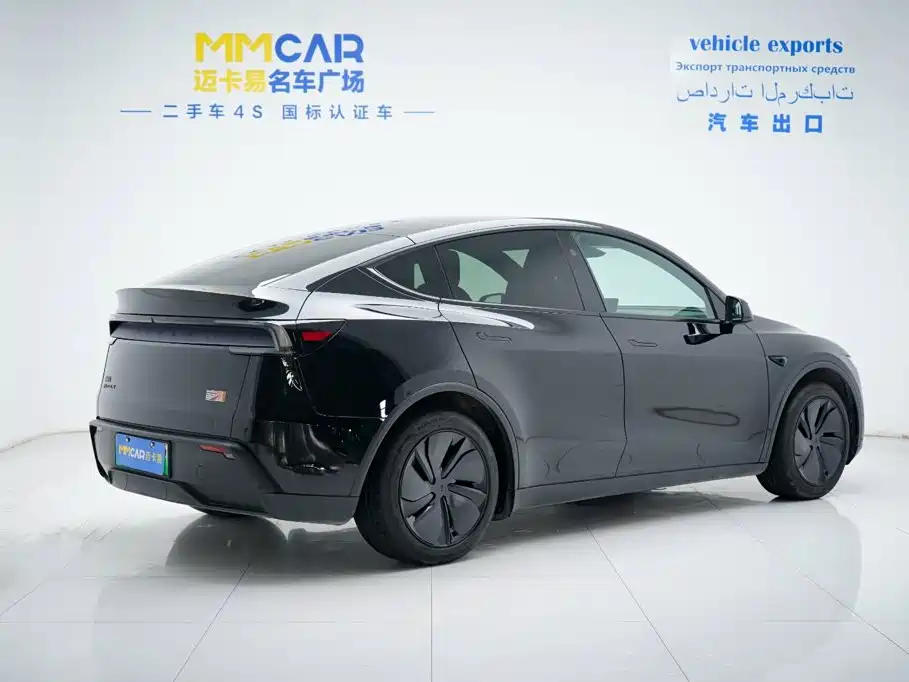 Tesla Model Y — миниатюра 4