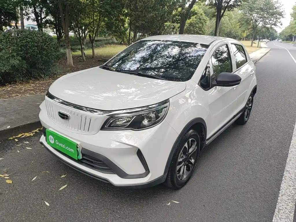 Geometry EX3 Kung Fu Bull