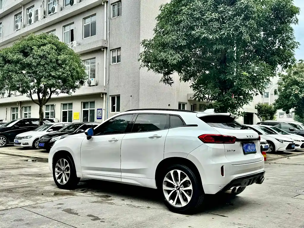 WEI PAI WEI BRAND VV7