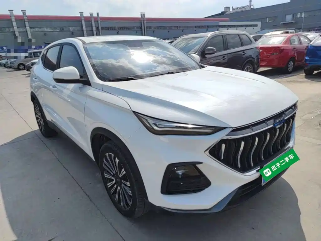 Oshan Oushang X5 — миниатюра 4