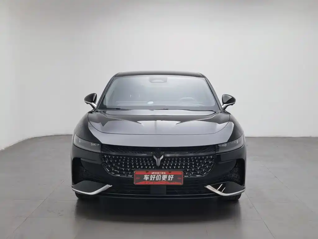 VOYAH Passion — миниатюра 3