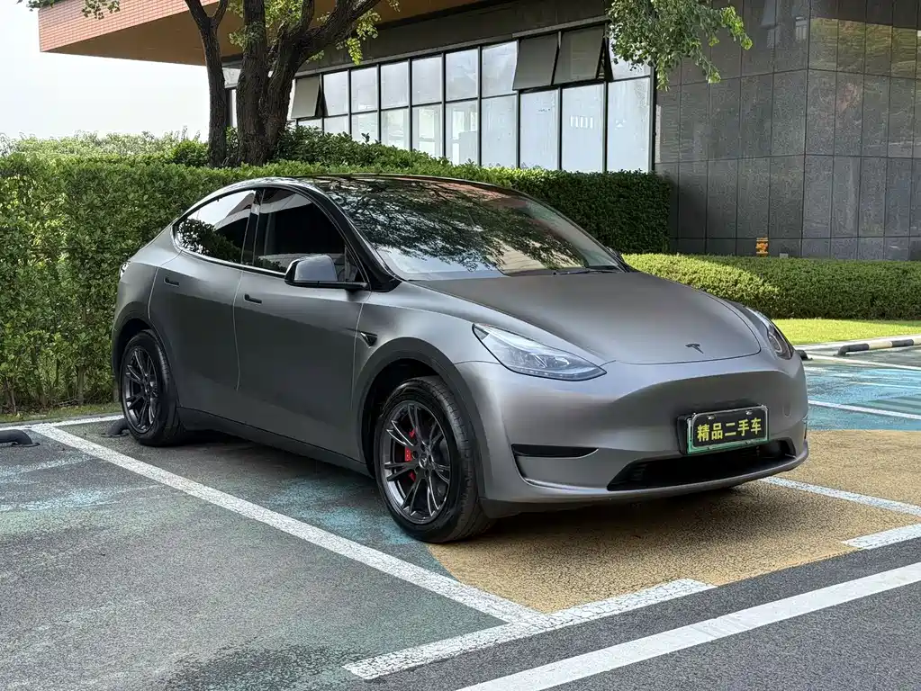 Tesla Model Y — миниатюра 3