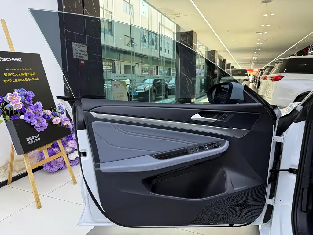 Volkswagen Lamando — миниатюра 14