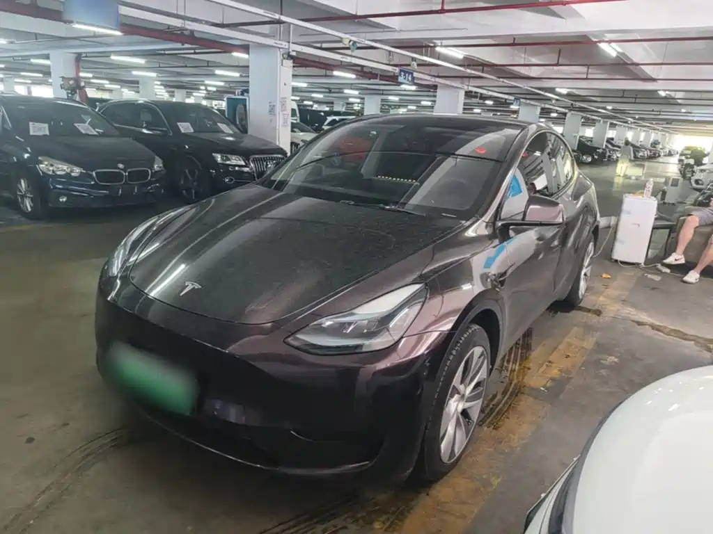 Tesla Model Y — миниатюра 2