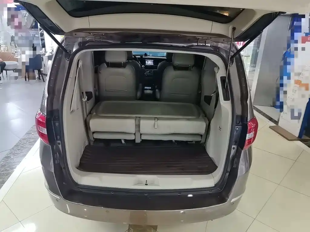 Buick GL8 — миниатюра 19