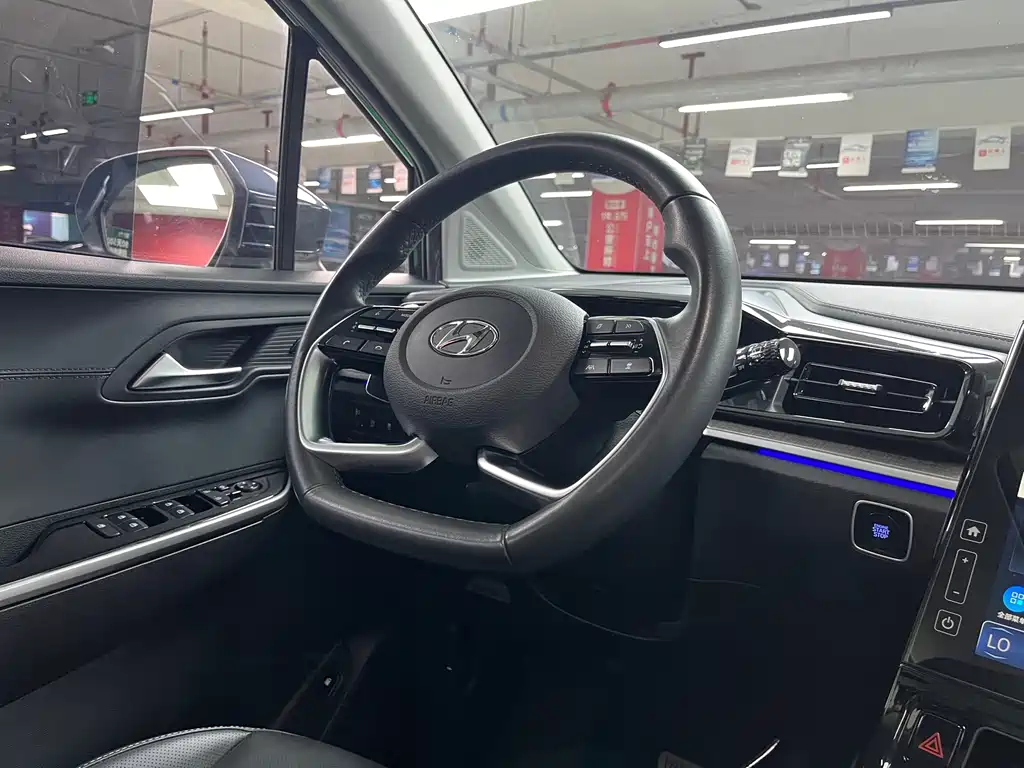 Hyundai Custo — миниатюра 16