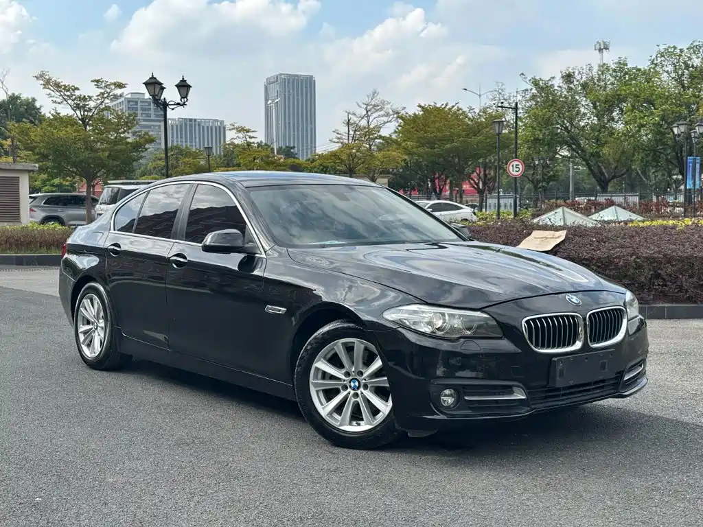 BMW 5 Series (Import) — миниатюра 3