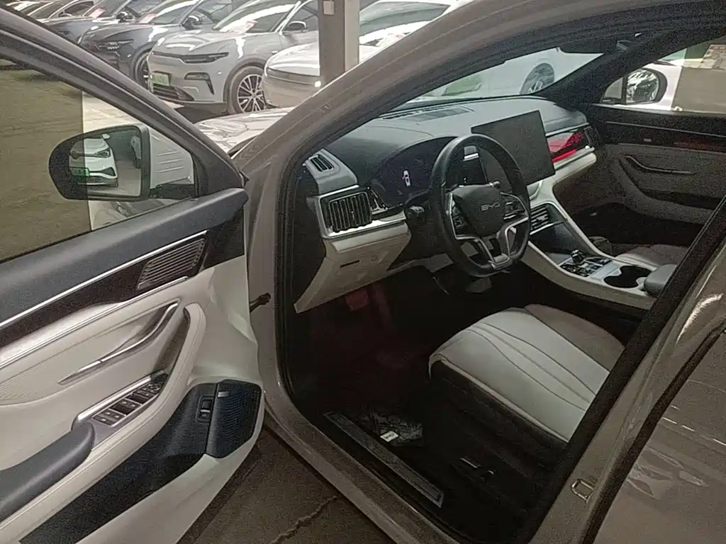 BYD PLUS New Energy — миниатюра 16