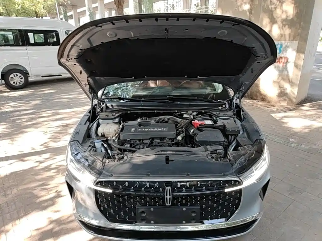 Lincoln Z — миниатюра 20
