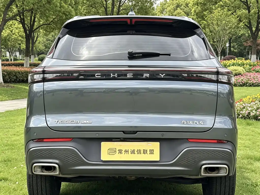 Chery Tiggo 8 PLUS 290TGDI DCT Premium Edition, фото 4