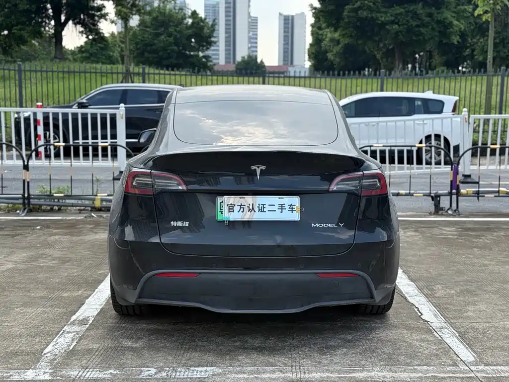 Tesla Model Y — миниатюра 14