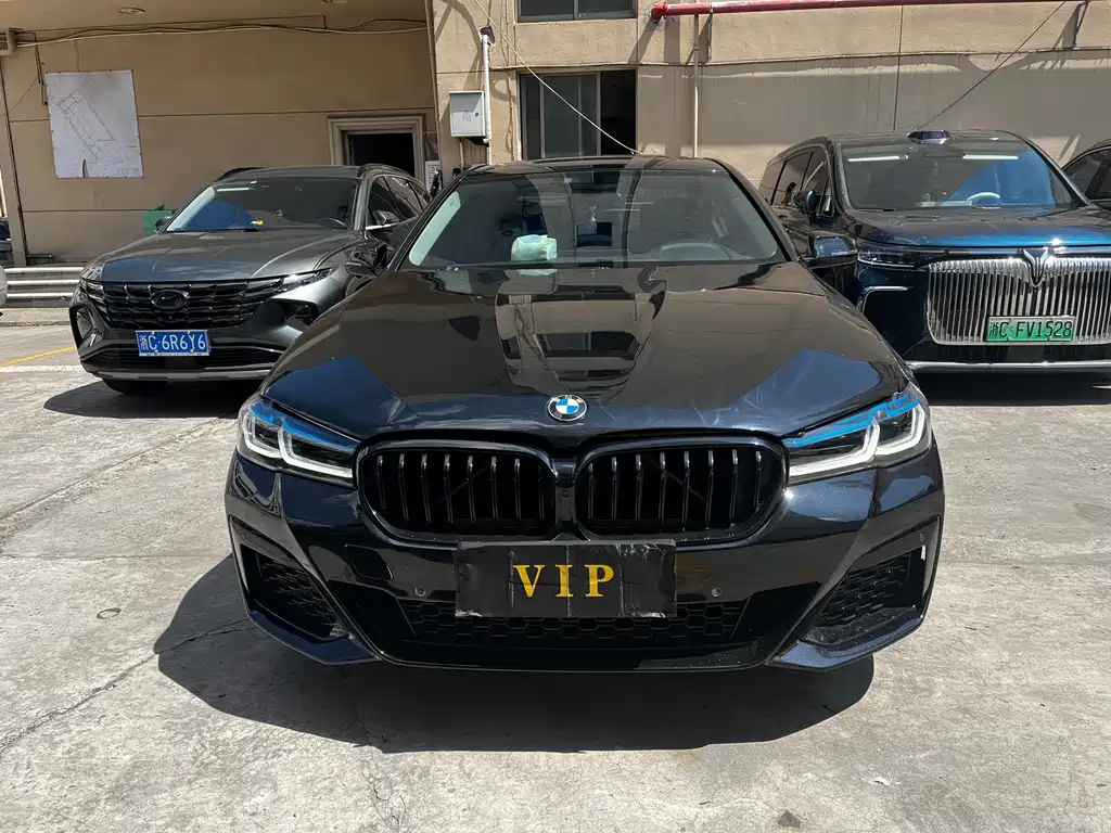 BMW 5 Series 525Li Luxury Design Package, фото 2