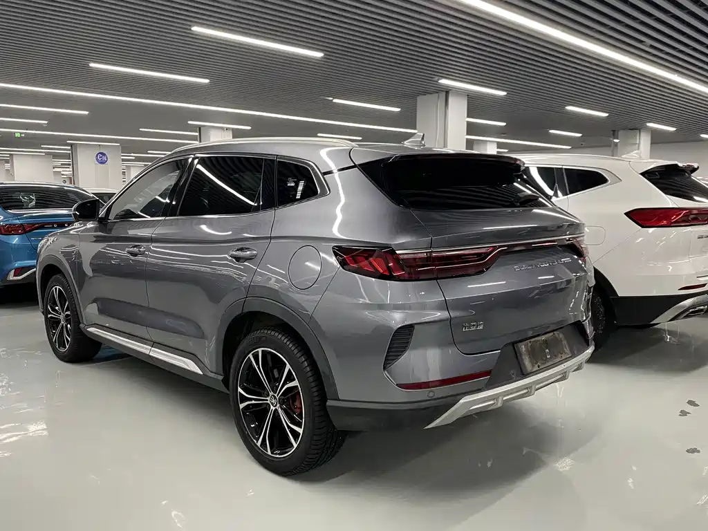 BYD PLUS — миниатюра 15