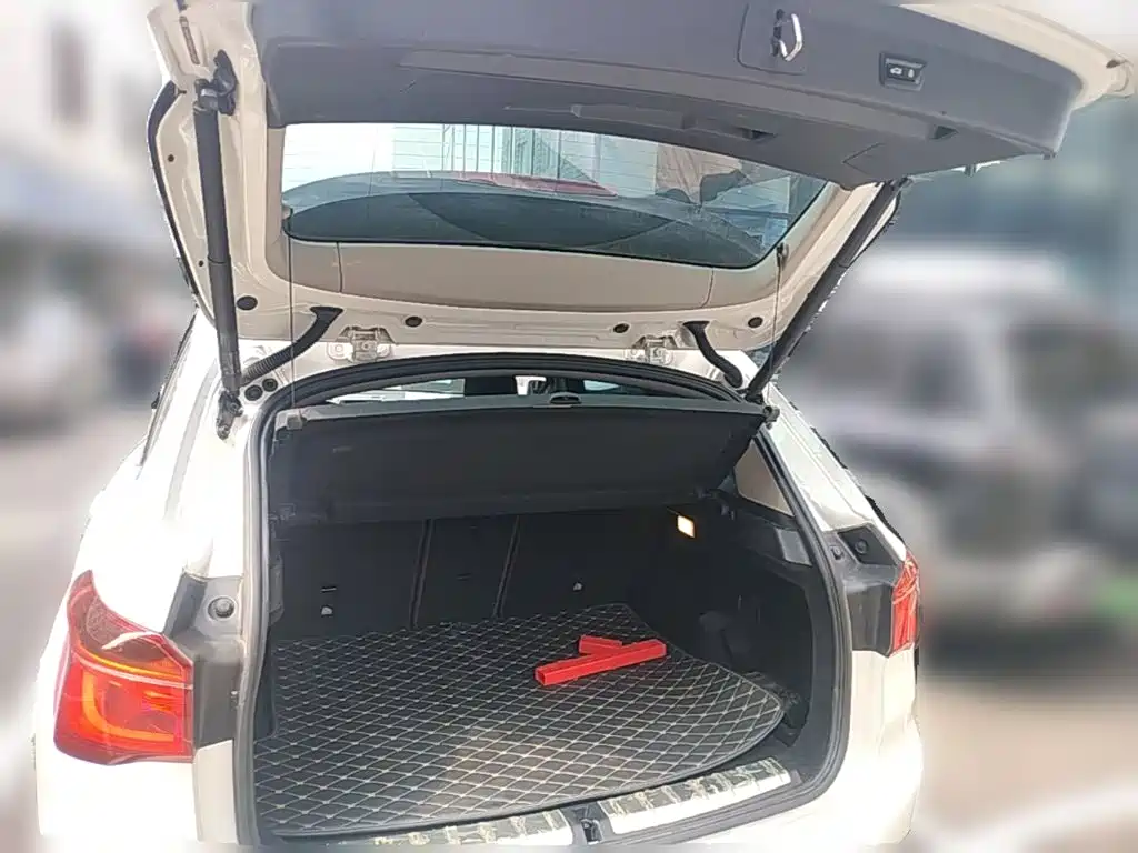 BMW X1 — миниатюра 24