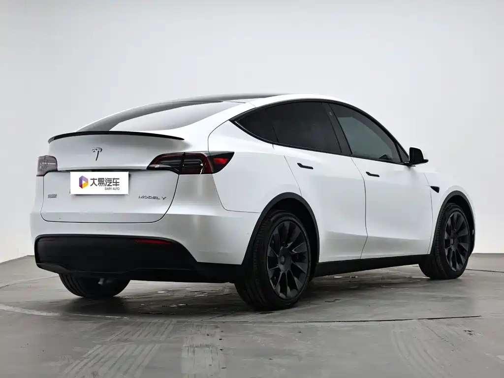 Tesla Model Y — миниатюра 3